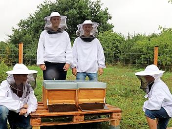 Finn, Jakob, Leon und Marco (von links) kümmern sich gerne um die Bienen - natürlich in Schutzkleidung. Foto: Johanna Blum