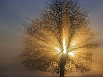 Ein sonniger Herbstanfang wurde f&uuml;r das Wochenende in Franken vorhergesagt. Doch jetzt verschlechtern sich die Prognosen.  Doch jetzt verschlechtern sich die Prognosen. Foto: Jens B&uuml;ttner/dpa-Zentralbild/dpa