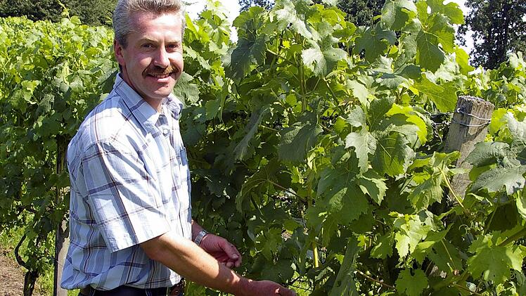 Mit Leidenschaft und Freude ist Hobbywinzer Norbert Bergmann in seinem Schwarzenauer Weinberg bei der Arbeit. Foto: Pfannes
