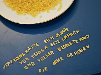 Der erste Satz aus dem Roman Karte und Gebiet von Michel Houellebecq. Fotos: Nikolas Pelke