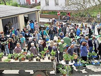 Großer Andrang herrschte bei der Pflanzenbörse der Grundfelder Gartenfreunde.  Fotos: Gerda Völk