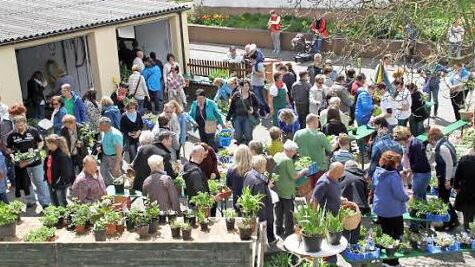 Großer Andrang herrschte bei der Pflanzenbörse der Grundfelder Gartenfreunde.  Fotos: Gerda Völk