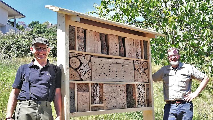 Forstamtmann Michael Sautter (rechts) und Forstwirtschaftsmeister Michael Schneider präsentieren ihr Musterhotel für Insekten am AELF Bad Kissingen.  Foto: Sigismund von Dobschütz