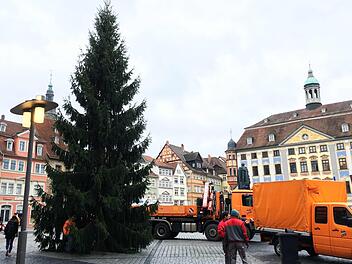 Vor dem Stadthaus steht heuer - anders als geplant - ein echter Coburger Weihnachtsbaum. Jochen Berger