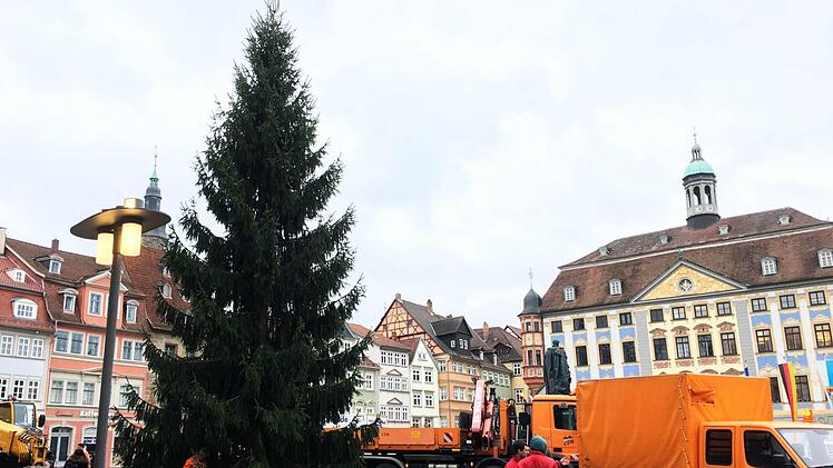 Vor dem Stadthaus steht heuer - anders als geplant - ein echter Coburger Weihnachtsbaum. Jochen Berger