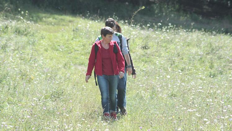 Annähernd 4000 Kilometer Wanderwege führen durch die Fränkische Schweiz. Mit Hilfe von EU-Fördergeldern könnte die Wanderregion künftige zeitgemäße Standards erfüllen. Foto: Hofbauer