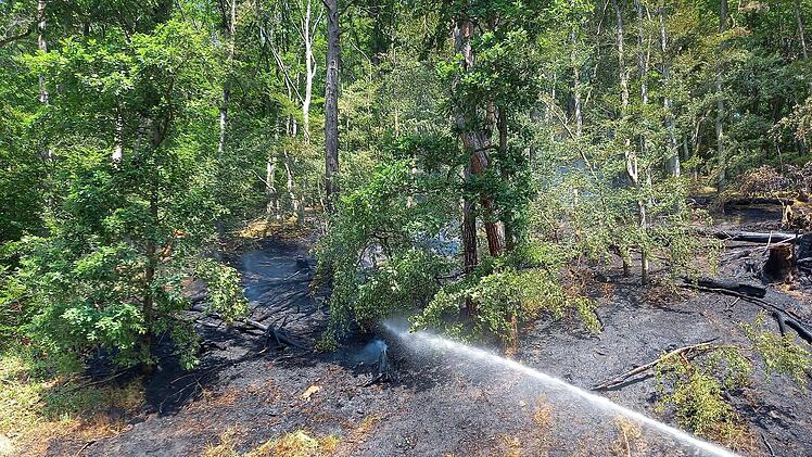 Waldbrand in Pflochsbach