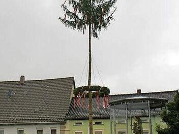 Rattelsdorfs Kirchweihbaum Nummer zwei Foto: Renate Neubecker