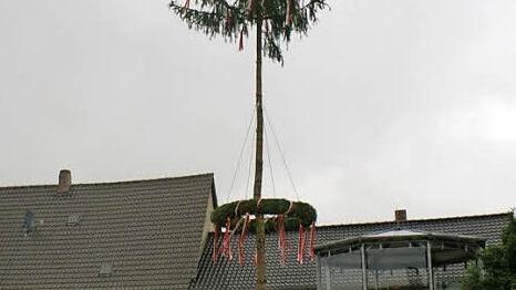 Rattelsdorfs Kirchweihbaum Nummer zwei Foto: Renate Neubecker