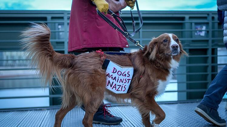 Protest-Hund