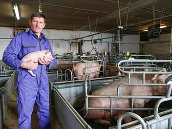 Bernhard Kohlmann mit einem Ferkel auf dem Arm im heimischen Schweinestall in Großbuchfeld. Foto: Matthias Hoch