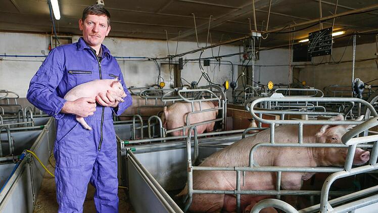 Bernhard Kohlmann mit einem Ferkel auf dem Arm im heimischen Schweinestall in Großbuchfeld. Foto: Matthias Hoch