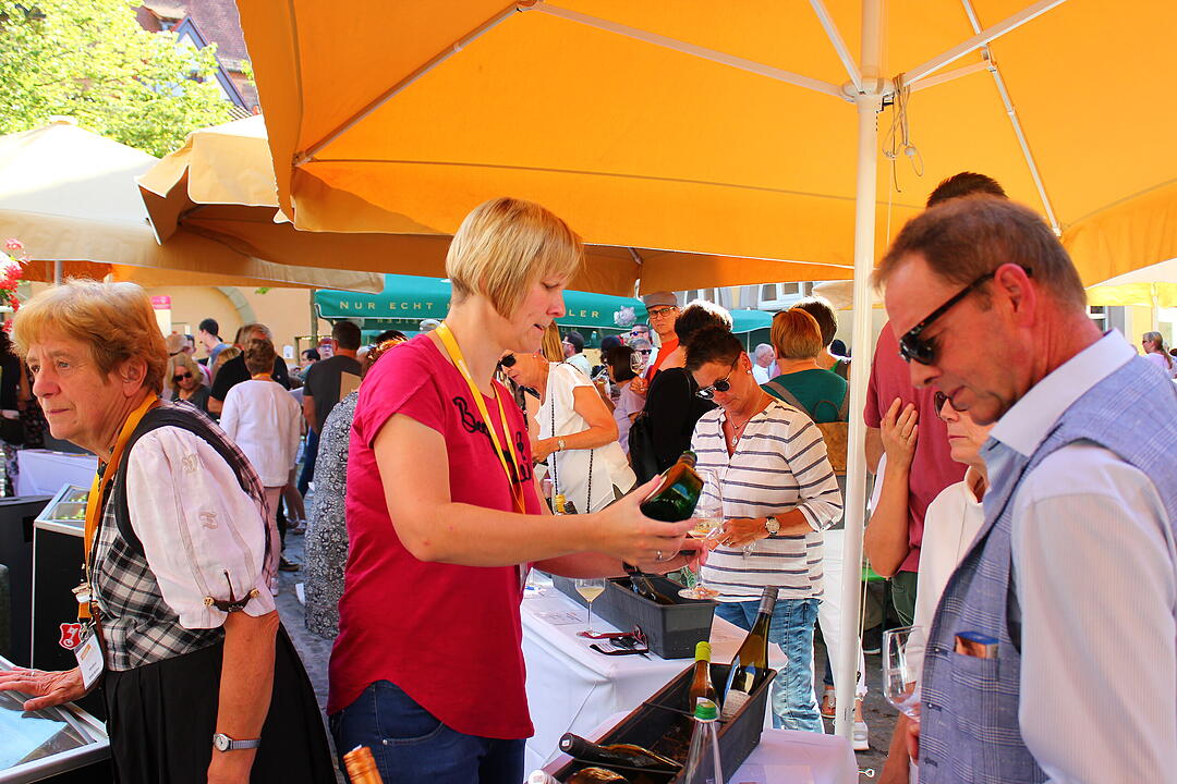 Mainschleifen-Weintasting