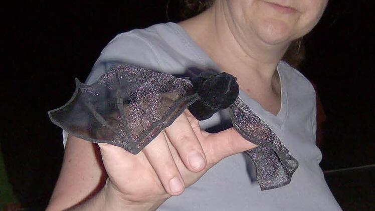 Andrea Wölfel hat eine Feldermaus aus Stoff in der Hand. Foto: Malbrich