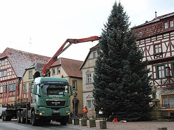 Stattliche zwölf Meter hoch ist der prachtvoll gewachsene Christbaum, den die städtischen Arbeiter gestern vor dem Neptunbrunnen platzierten. Fotos: Eckehard Kiesewetter