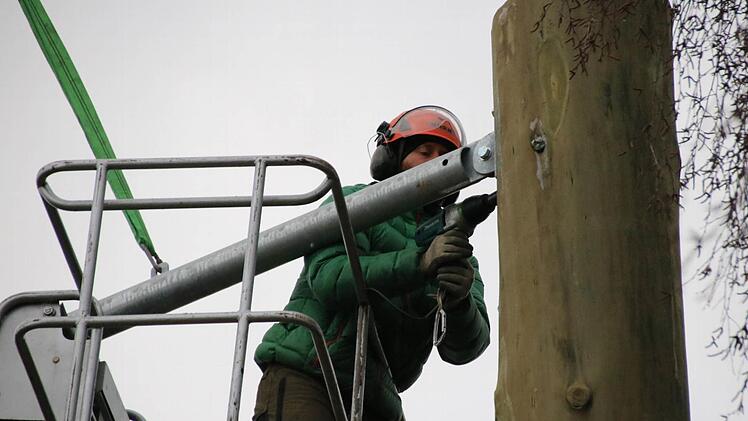 Anfang März wurde der neue Hochseilgarten auf dem Volkersberg errichtet. Foto: Ralf Ruppert