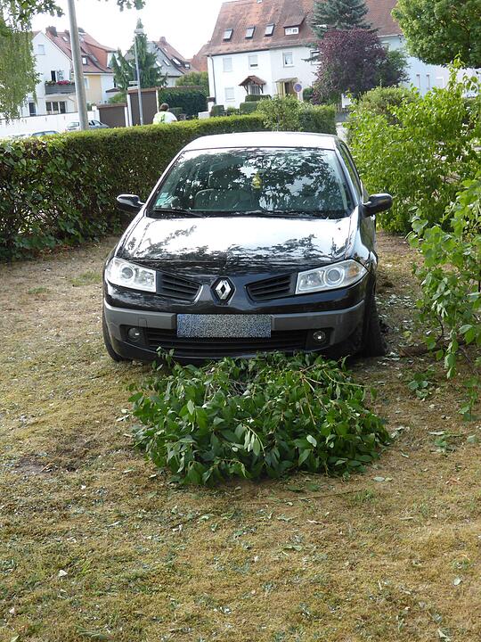 Betrunkener rast in Bamberger Vorgarten