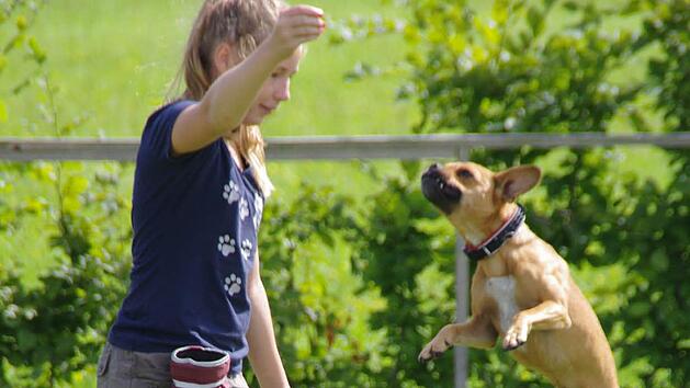 Luftakrobat: Florentine Gl&uuml;ck gelang es, ihrem Hund "Willi" so manches kleine Kunstst&uuml;ckchen zu entlocken. Fotos: Marco Mei&szlig;ner