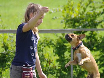 Luftakrobat: Florentine Glück gelang es, ihrem Hund "Willi" so manches kleine Kunststückchen zu entlocken. Fotos: Marco Meißner