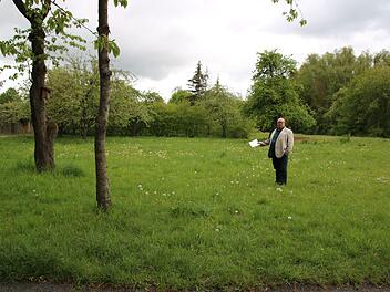 Auf dieser Wiese im Jörgentorpark soll ein Beachvolleyballfeld entstehen. Umweltreferent Klaus Schebler will einen Freizeit- und Erlebnispark gestalten. Thomas Malz