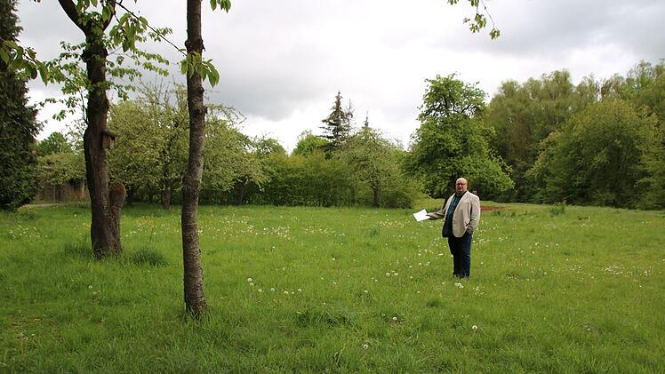Auf dieser Wiese im Jörgentorpark soll ein Beachvolleyballfeld entstehen. Umweltreferent Klaus Schebler will einen Freizeit- und Erlebnispark gestalten. Thomas Malz