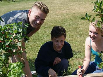 Jakob Gauglitz, Nils Simon und Fabiola Ingenleuf (v.l.) bei der Landschaftspflege  Foto: p