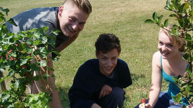 Jakob Gauglitz, Nils Simon und Fabiola Ingenleuf (v.l.) bei der Landschaftspflege  Foto: p