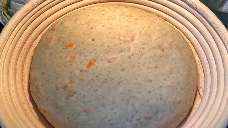 aufgegangenes-karottenbrot