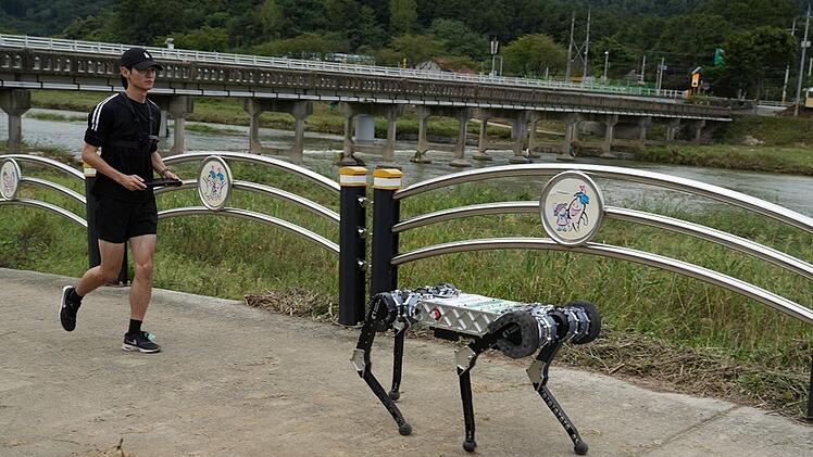 Vierbeiniger Roboter "RAIBO2" in S&uuml;dkorea