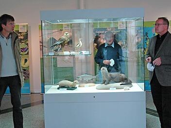 Stefan Beyer, Vorsitzender BUND Coburg (links), und Carsten Ritzau freuen sich über die Ausstellung "Fischotter - Der König des Wassers kehrt zurück". Wilhelm Stadelmann (Mitte) vom BUND Coburg betrachtet die Ausstellung aus einer anderen Perspektive. Foto: Edwin Meißinger