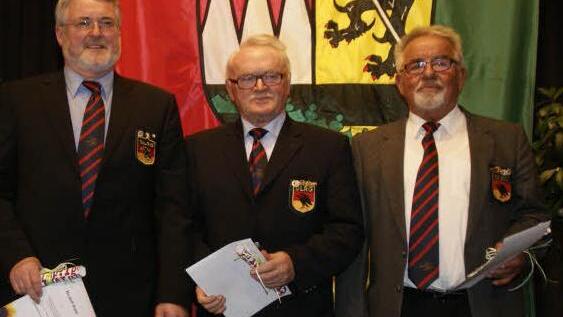 Geehrt wurden in Zeil beim Ehrenamtsabend Harald Theuring, Hans Elflein und Rudolf Rath (DLRG Ebern, von links): Sie Unterstützen seit 2008 die Grundschulklassen aus Ebern, Rentweinsdorf und Untermerzbach beim Schulschwimmunterricht. Seit Jahrzehnten sind sie nun auch schon Schwimmausbilder der DLRG. Alle Eberner Viertklässler haben mindestens das Seepferdchen, viele auch das Jugendschwimmabzeichen in Gold.Fotos: Sabine Weinbeer