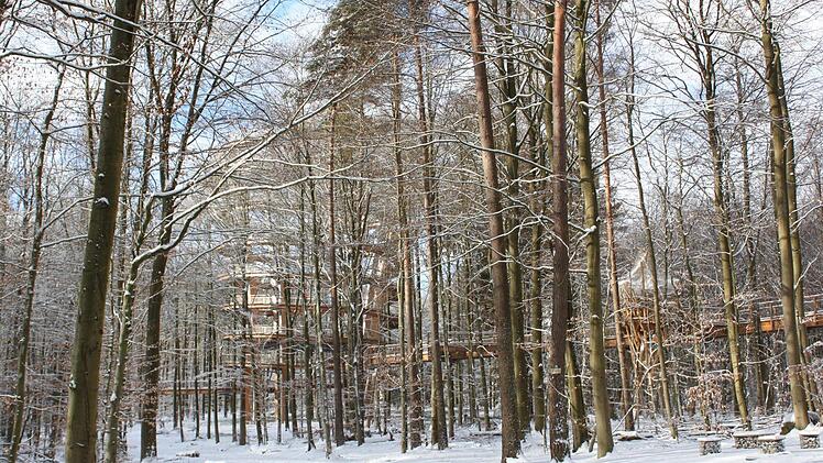 Fast versteckt - der AussichtsturmFoto: Anette Schreiber