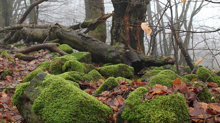 Kernzonen in der Bayerischen Rhön.