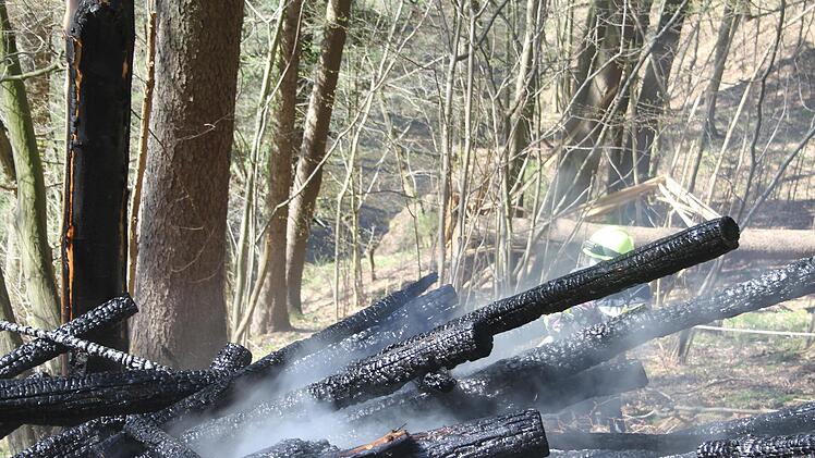Die Feuerwehr hatte den Brand schnell unter Kontrolle. Ein Rückefahrzeug zog die verkohlten Stämme später aus dem Wald.
