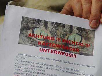 Eine Mitteilung über vermeintliche Katzenfänger im Raum Kronach/Lichtenfels erreichte auch das Tierheim in der Cranach-Stadt. Foto: Marco Meißner