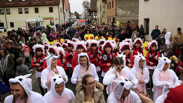 Impressionen vom Faschingsumzug der Weisendorfer Blummazupfer. Foto: Richard Sänger