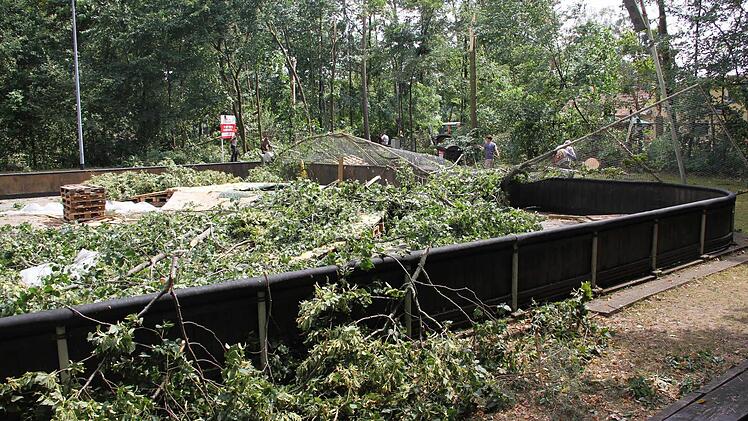 Foto: Gartenamt Bamberg