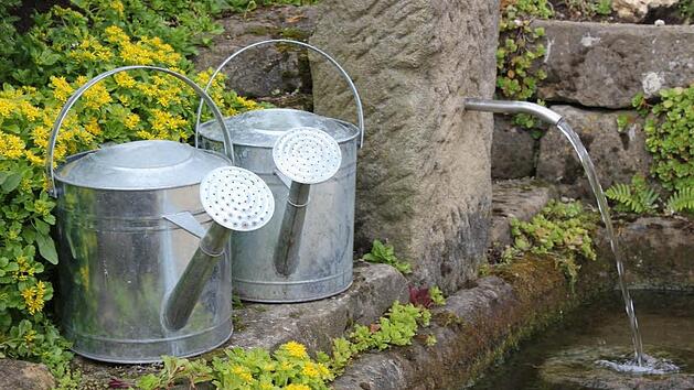 Eine langanhaltende Trockenheit ist f&uuml;r die Natur nicht gut. Jetzt kommt es auf das richtige Gie&szlig;en an. Symbolfoto: ker