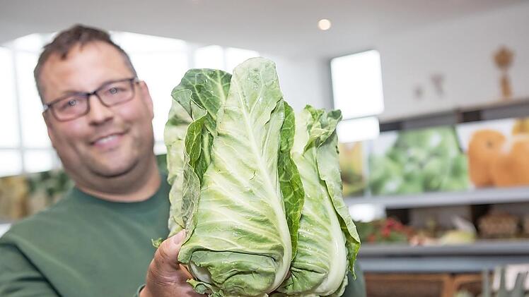 "Da ist noch nicht die Größe, mit der wir Spitzkohl normalerweise verkaufen" sagt Gärtnermeister Hans-Jürgen Eichfelder. "Der braucht noch ein bisschen."  Foto: Barbara Herbst