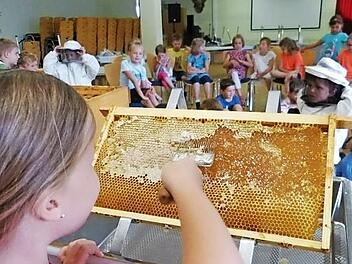 Sorgf&auml;ltig werden die Waben abgeschabt.  Foto: Sigrid Danz