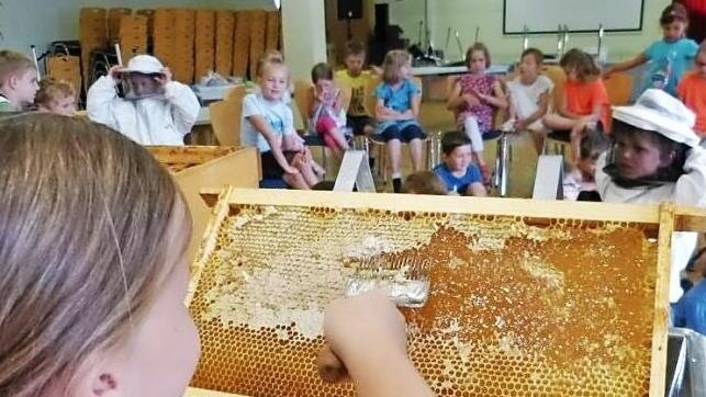 Sorgf&auml;ltig werden die Waben abgeschabt.  Foto: Sigrid Danz