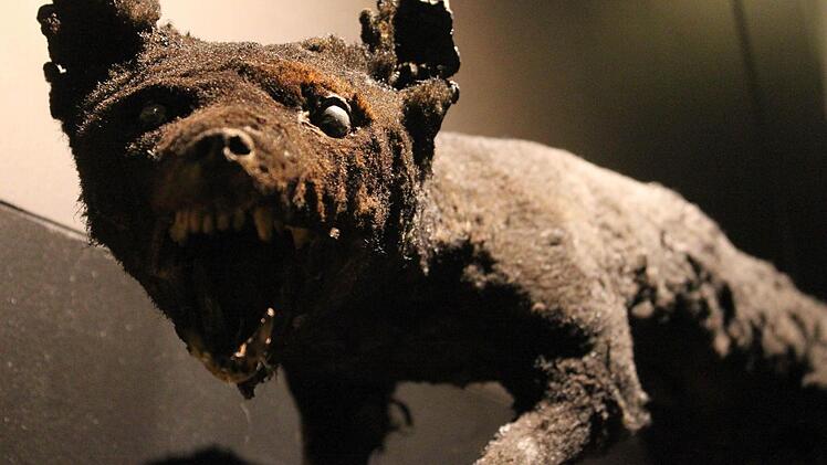 "Hexen, Werwölfe und Untote" in Kulmbach Foto: Jürgen Gärtner