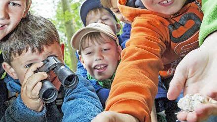 Ob Schatzsuche, Wildkräutersuche oder seilgesichertes Baumklettern: Abwechslung ist beim Familienwandern im HeilbronnerLand garantiert. Foto: djd/Touristikgemeinschaft HeilbronnerLand e.V.
