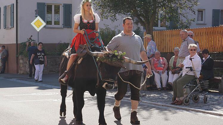 Imposant wirkten die großen Hörner des berittenen Auerochsen.  Foto: Marion Eckert