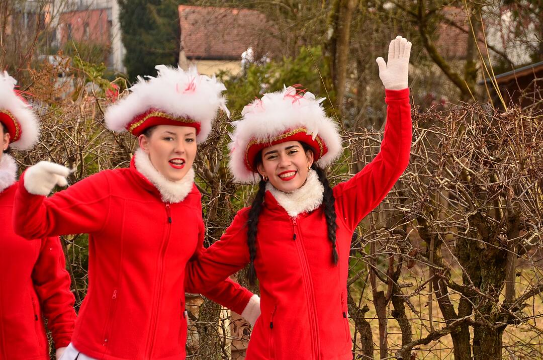 Ebermannstadt feiert Fasching!