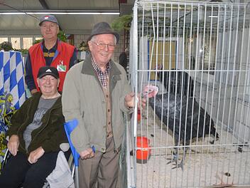 Willi Ortmann  freut sich &uuml;ber den  gro&szlig;en Truthahn in der Ausstellung. Foto: Arthur Stollberger
