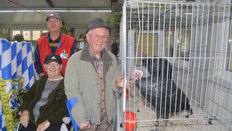 Willi Ortmann  freut sich &uuml;ber den  gro&szlig;en Truthahn in der Ausstellung. Foto: Arthur Stollberger