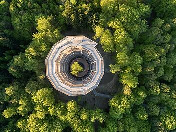 Ein ganz Highlight im Raum Ebrach ist der Baumwipfelpfad. In 26 Metern H&ouml;he und auf mehr als einem Kilometer L&auml;nge erfahren Besucher alles &uuml;ber den Lebensraum Wald. Foto: Archiv
