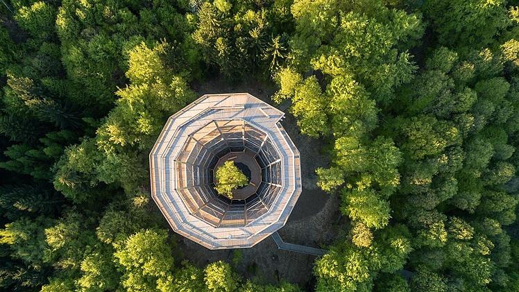 Ein ganz Highlight im Raum Ebrach ist der Baumwipfelpfad. In 26 Metern Höhe und auf mehr als einem Kilometer Länge erfahren Besucher alles über den Lebensraum Wald. Foto: Archiv