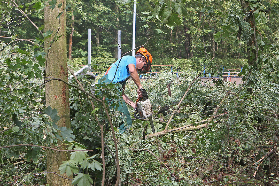 Aufraeumarbeiten in Bamberg nach schwerem Unwetter